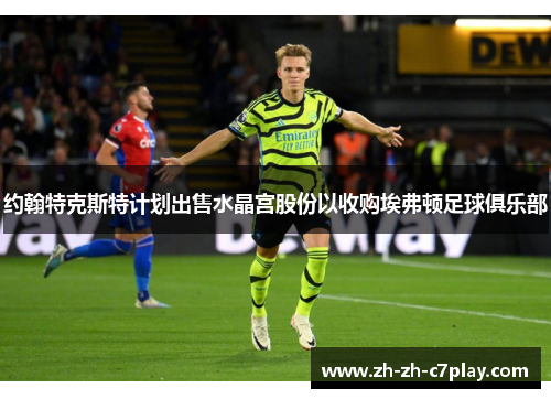 约翰特克斯特计划出售水晶宫股份以收购埃弗顿足球俱乐部